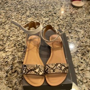 ANN TAYLOR LOFT Snake ankle strap flat sandals size 9 1/2